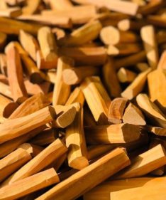 Sandalwood Oil
